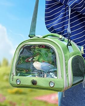 GREEN.Ｂ様 キャリーバッグ キャリーケージ お出かけ 通院 文鳥 インコ 爆売中！インコ ケージ キャリー バッグ 持ち運び 鳥 キャリー